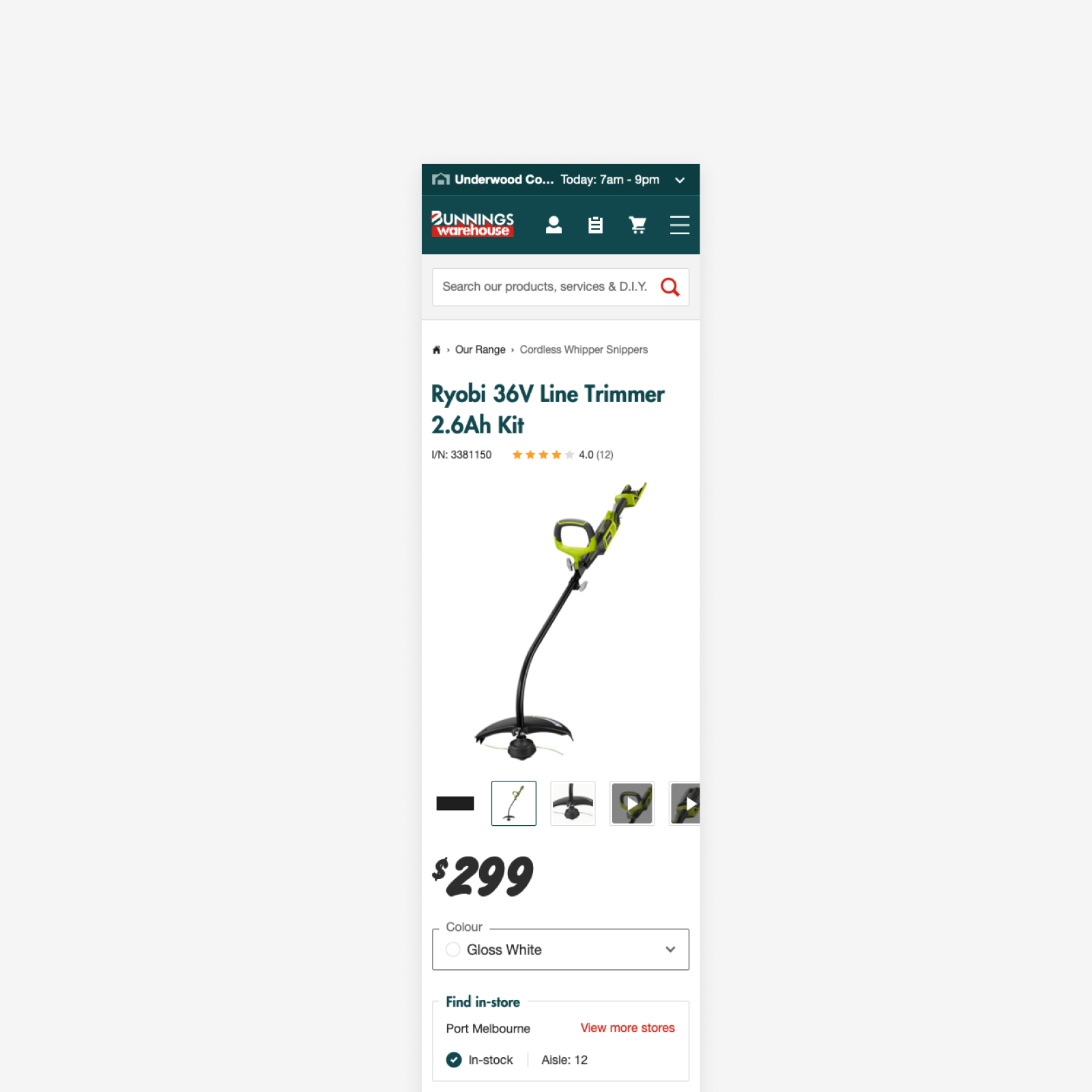 bunnings-DS-examples-2